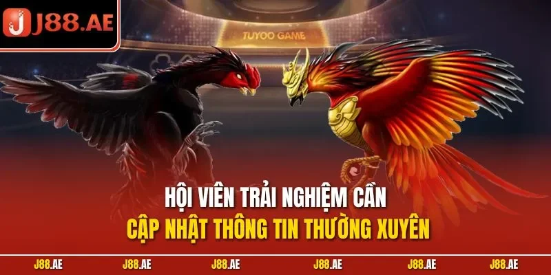 Hội viên trải nghiệm cần cập nhật thông tin thường xuyên